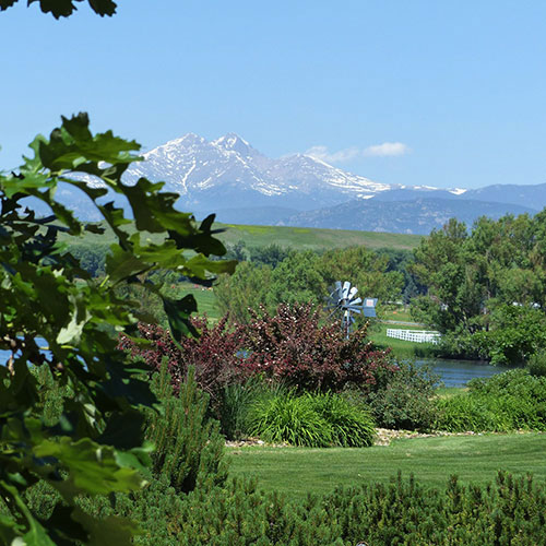 Farm land with mountains in the background
